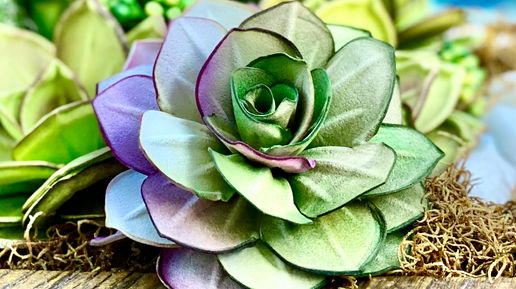 Video Clase Gratis Suculenta Elegance